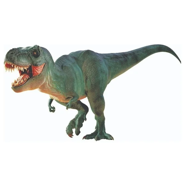 National Geographic Dino Kazı Kiti Nat06002 - Görsel 2