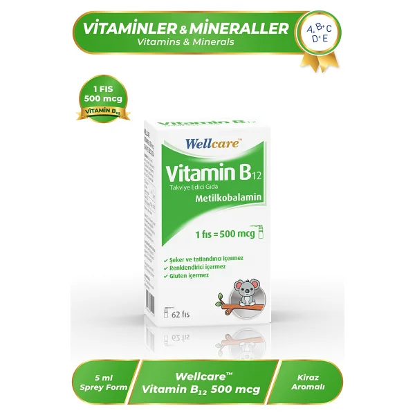 Wellcare Vitamin B12 500 mcg 5 ml Sprey - Görsel 4