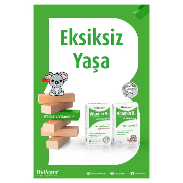 Wellcare Vitamin B12 500 mcg 5 ml Sprey - Görsel 6