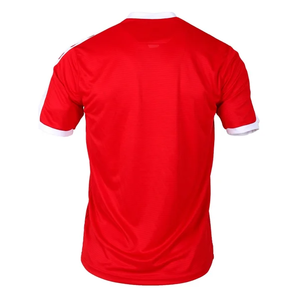 Hummel 912378-3658 2025/2026 Erkek Kırmızı Türkiye Hentbol Milli Takım Forması - Görsel 3