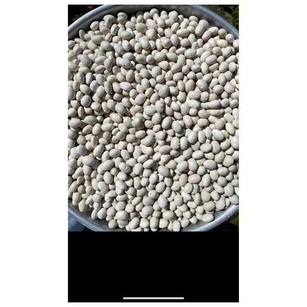Erzurum Yöresel Gıda Ispir Şeker Fasulyesi 1 Kg - Görsel 4