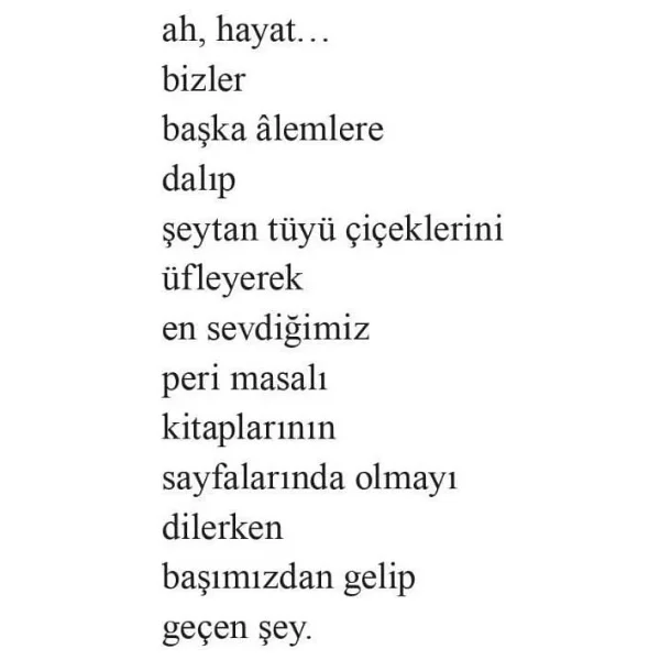 Bu Defa Prenses Kendini Kurtarıyor - Amanda Lovelace - Görsel 6