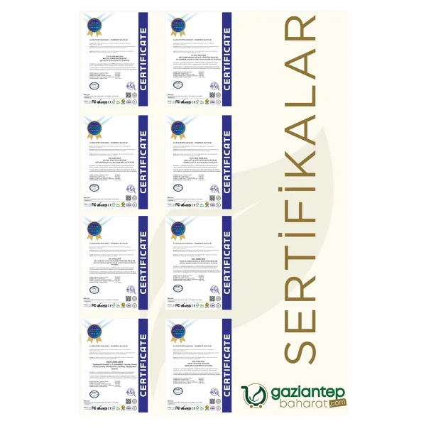 Gaziantep Baharat Köri Baharatı 80 Gr - Aromatik Ve Doğal Tat - Görsel 4