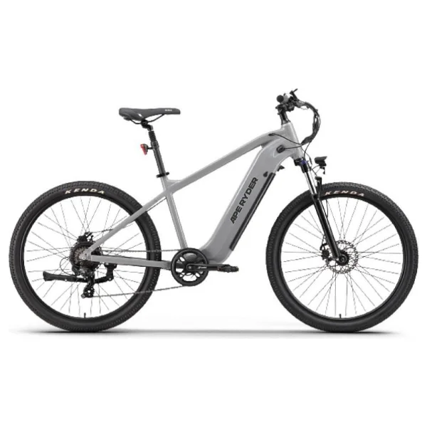 Ape Ryder Buffalo 250 W Elektrikli Bisiklet - Görsel 7