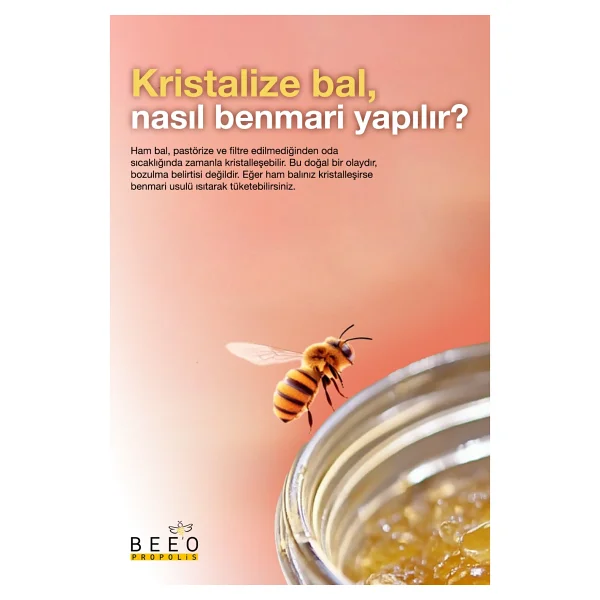 Bee'o 500 Gr Kestane Çiçek Ham Bal - Görsel 3