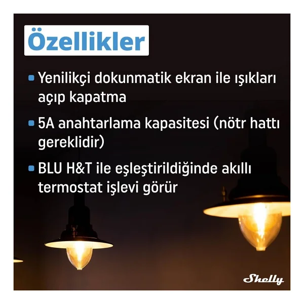 Shelly Wall Display + Blu H&T Siyah Akıllı Ev Kumandası - Görsel 3