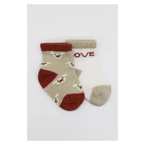 Nessiworld Bistyle Love Dog Penye Soket Çorap 2'li Bs10118 Nil - Görsel 2