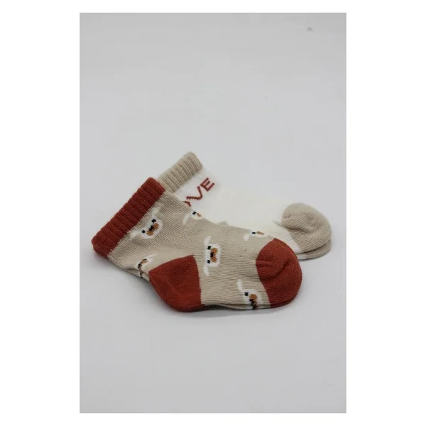 Nessiworld Bistyle Love Dog Penye Soket Çorap 2'li Bs10118 Nil - Görsel 4