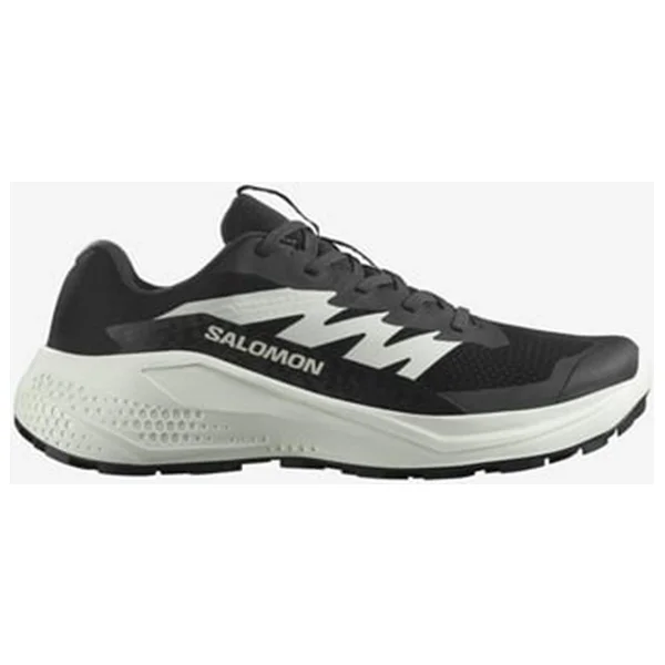 Salomon Alphaglide Erkek Koşu Ayakkabısı - Görsel 10