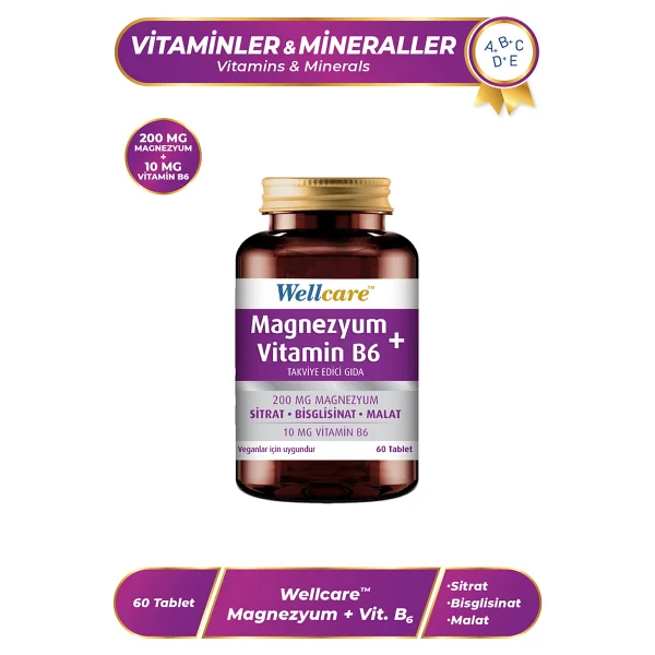 Wellcare Magnezyum + Vitamin B6 60 Tablet - Görsel 3