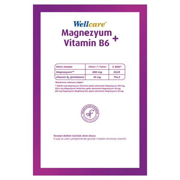 Wellcare Magnezyum + Vitamin B6 60 Tablet - Görsel 4