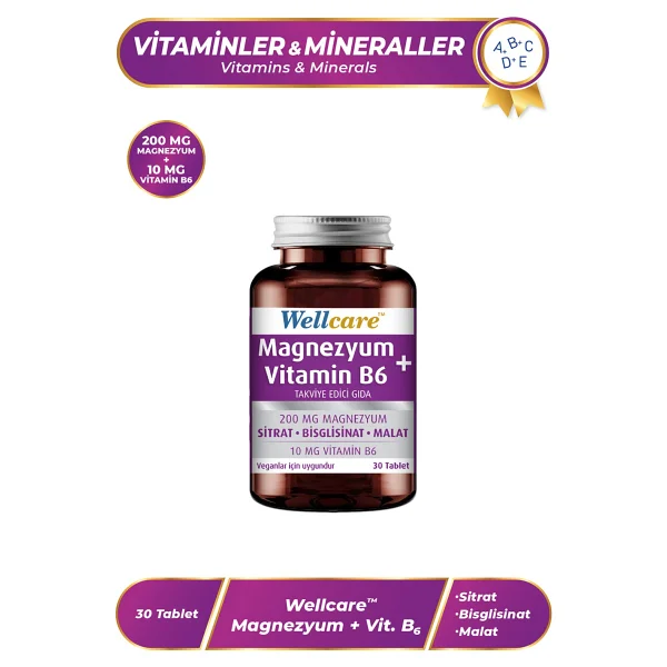 Wellcare Magnezyum + Vitamin B6 30 Tablet - Görsel 5