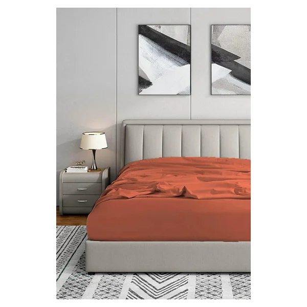 Soley Jersey Premium %100 Pamuk Tek / Çift Kişilik Lastikli Çarşaf - Görsel 2