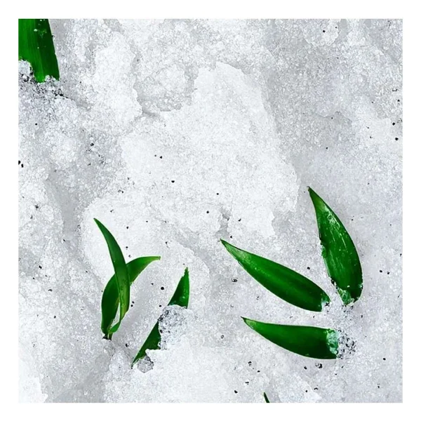 Nuxe Body Reve De The Revitalising Granular Scrub 150 Ml Vücut Peelingi - Görsel 5