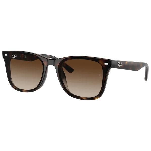 Ray-Ban 4420 710/13 Havana-Brown Güneş Gözlüğü - Görsel 2
