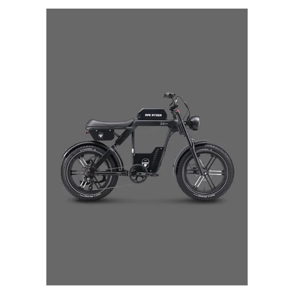 Ape Ryder Baboon 250 W Elektrikli Bisiklet - Görsel 10