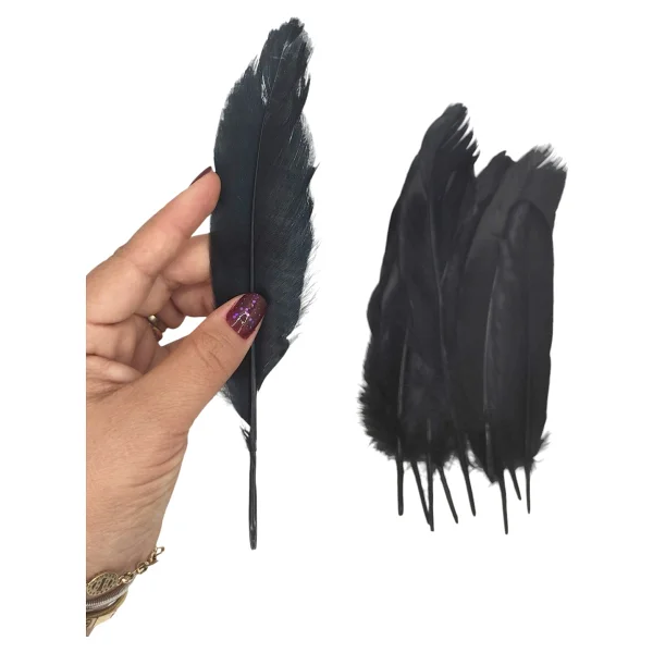 Siyah Tüy El İşi Tüyleri, Okul Öncesi Etkinlik Tüy 10 Lu - 1 Paket - Görsel 6
