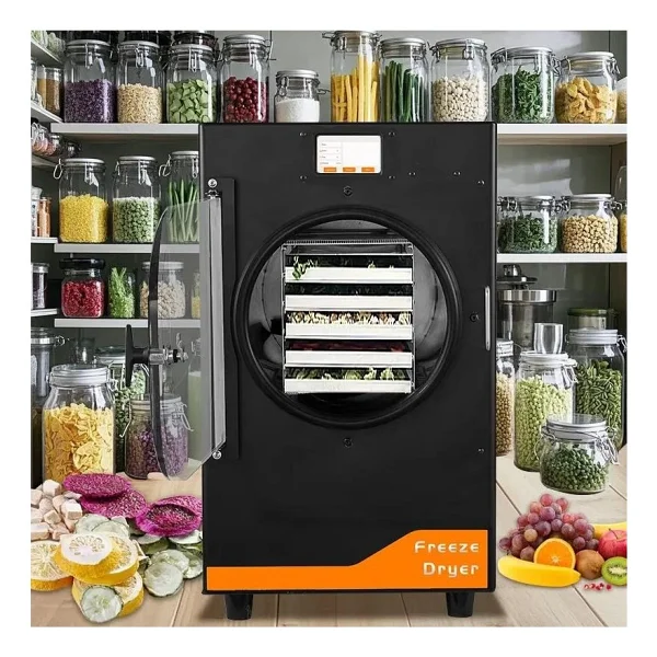 Dalle DFD-06 Freeze Dryer Sebze Kurutma Fırını - Görsel 6