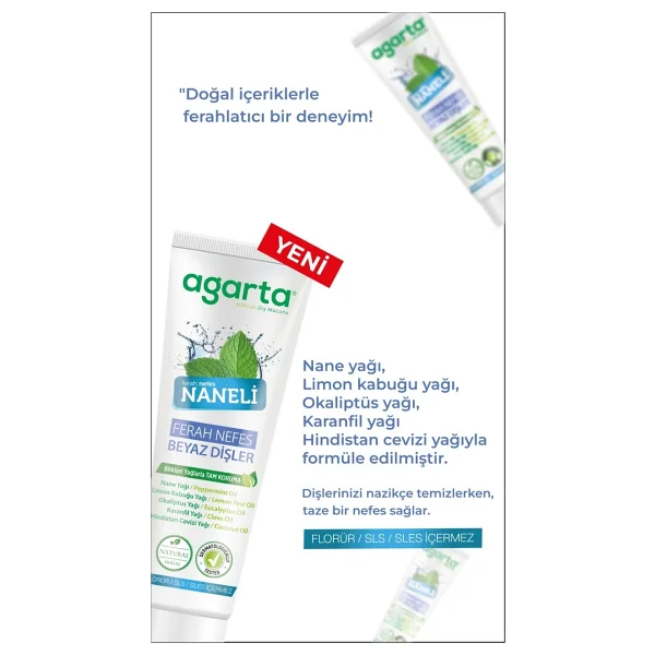 Agarta Doğal Yoğun Naneli 100 Ml 3 Adet Florürsüz Diş Macunu - Görsel 3