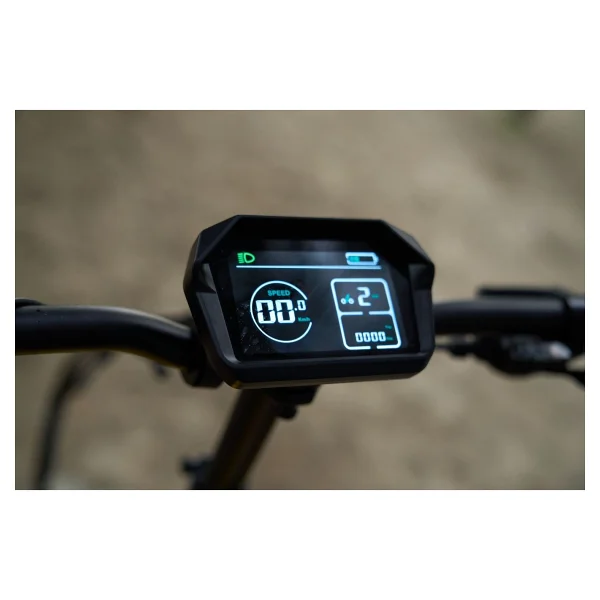Ape Ryder Loris 250 W Gri Elektrikli Bisiklet - Görsel 5