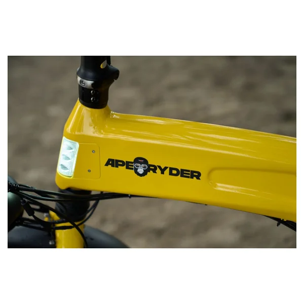 Ape Ryder Loris 250 W Elektrikli Bisiklet - Görsel 6