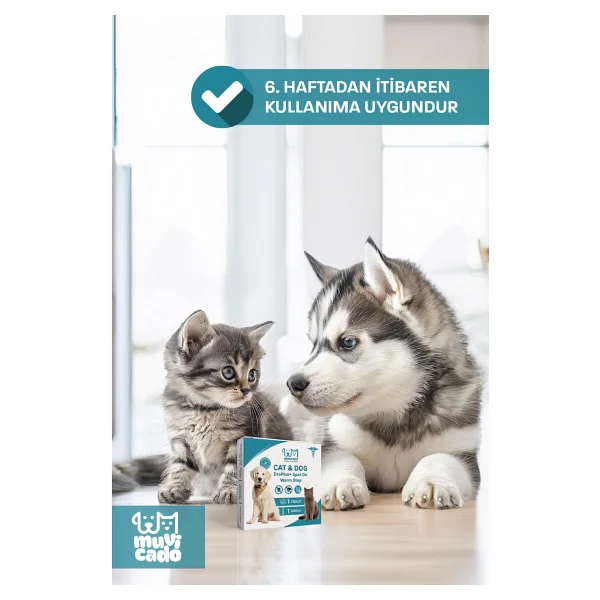 Muvicado Iç Dış Parazit Kedi Köpek Dış Parazit Damlası Kedi Pire Damlası Köpek Pire Damlası Kedi Iç Dış Parazit Damla Tablet Seti Kedi Köpek Ödül - Görsel 4