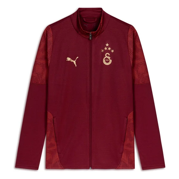 Puma Galatasaray 782890 Erkek Eşofman Üstü - Görsel 6
