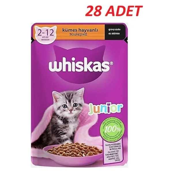 Whiskas Gravy Soslu Kümes Hayvanlı 85 Gr 28'li Yavru Kedi Yaş Maması - Görsel 3