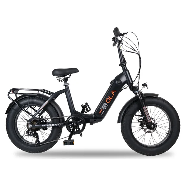 Ola Electrofold Efd1 Carbon Design 250 W Katlanabilir Elektrikli Bisiklet - Görsel 7