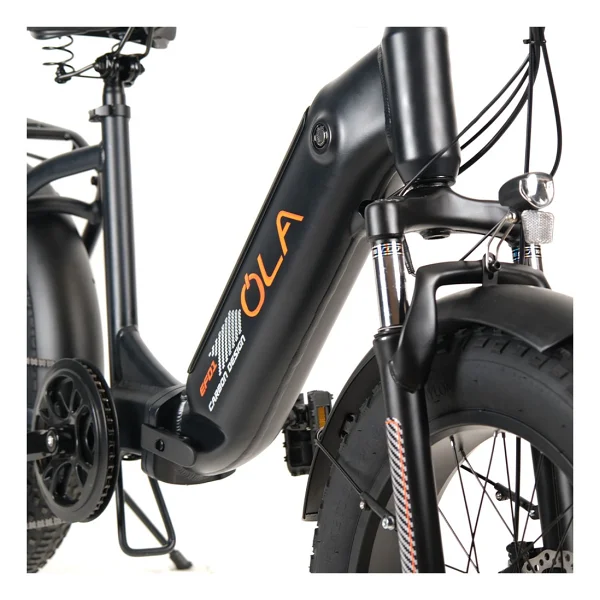 Ola Electrofold Efd1 Carbon Design 250 W Katlanabilir Elektrikli Bisiklet - Görsel 5