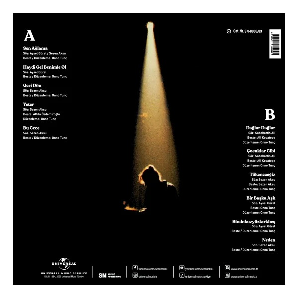 Sezen Aksu - Sen Ağlama Plak - Görsel 2