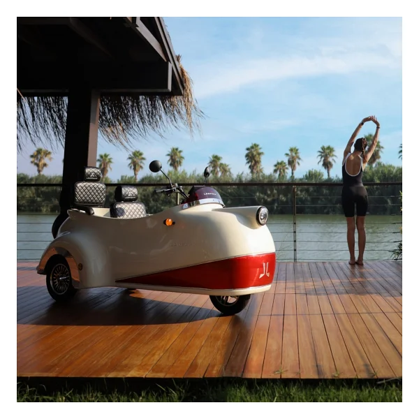 Lampago E-Trike 1000 W 24 Ah 3 Tekerlekli Elektrikli Motosiklet - Görsel 7