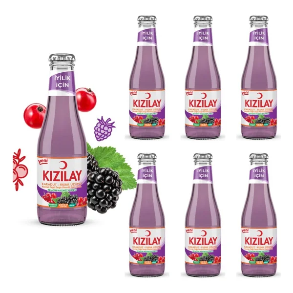 Kızılay Karadut Frenk Üzümlü Maden Suyu 6x200 Ml - Görsel 2