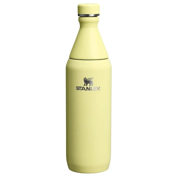 Stanley The All Day Slim Sarı 0.60 Lt Soğuk Su Termosu - Görsel 4