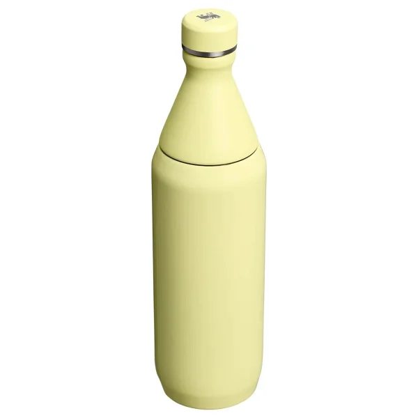 Stanley The All Day Slim Sarı 0.60 Lt Soğuk Su Termosu - Görsel 2