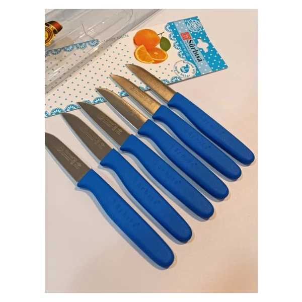 Sürbısa 61007 Mavi 6'lı Meyve Bıçağı - Görsel 2