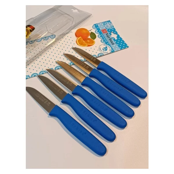Sürbısa 61007 Mavi 6'lı Meyve Bıçağı - Görsel 5