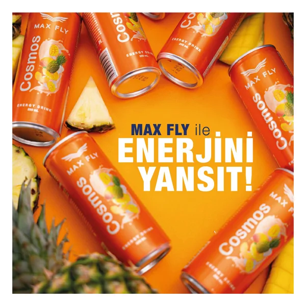 Max Fly Cosmos Enerji Içeceği 250ml 12 Adet - Görsel 5