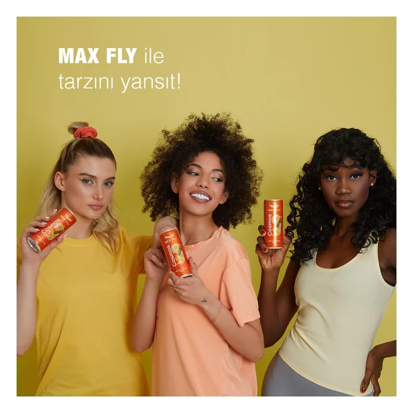 Max Fly Cosmos Enerji Içeceği 250ml 12 Adet - Görsel 9