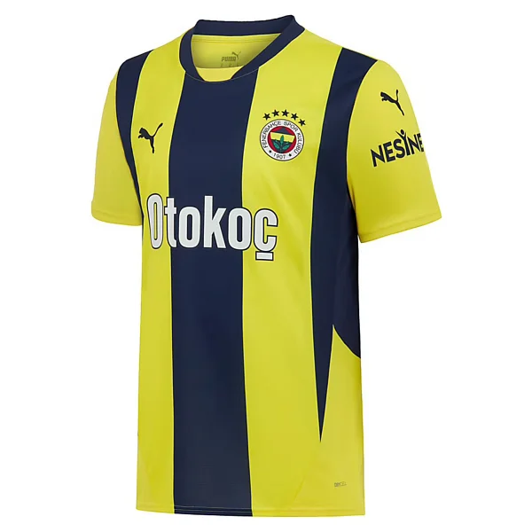 Puma 775360-01 2024/2025 İç Saha Erkek Çubuklu Fenerbahçe Forması - Görsel 4