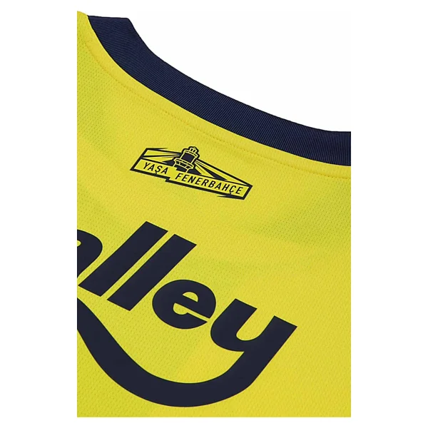 Puma 775360-01 2024/2025 İç Saha Erkek Çubuklu Fenerbahçe Forması - Görsel 6