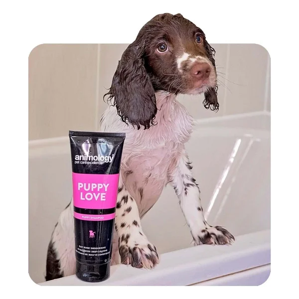 Animology Puppy Love 250 Ml Yavru Köpek Şampuanı - Görsel 7