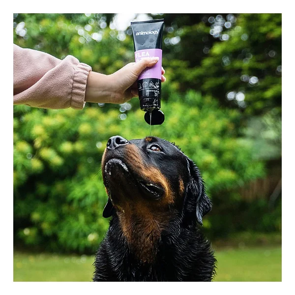 Animology Flea Tick 250 Ml Köpek Şampuanı - Görsel 2
