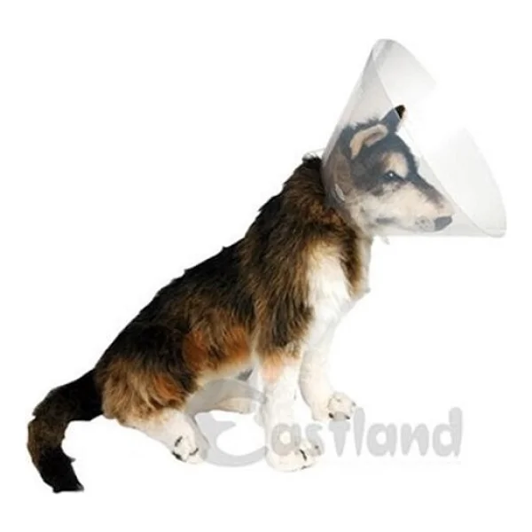 Eastland Yakalık (Elizabet) 20 Cm - Görsel 2