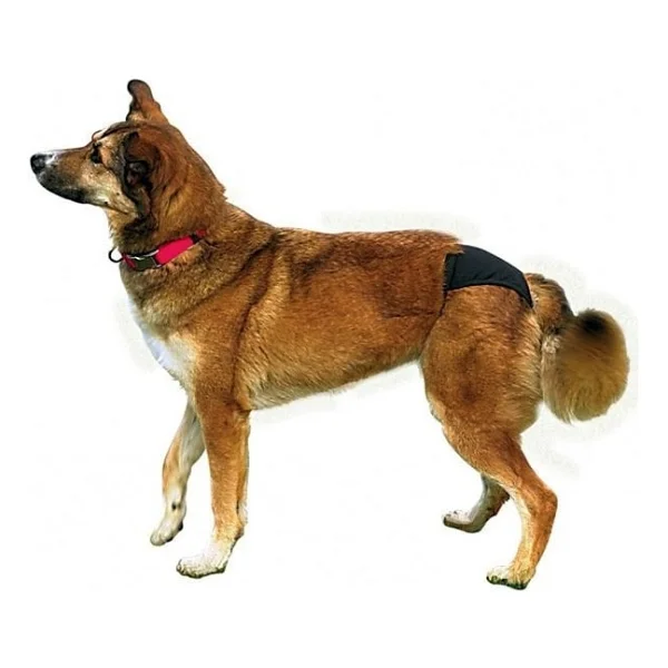 Trixie Hijyenik Köpek Külodu M 40-49 Cm, Siyah - Görsel 2