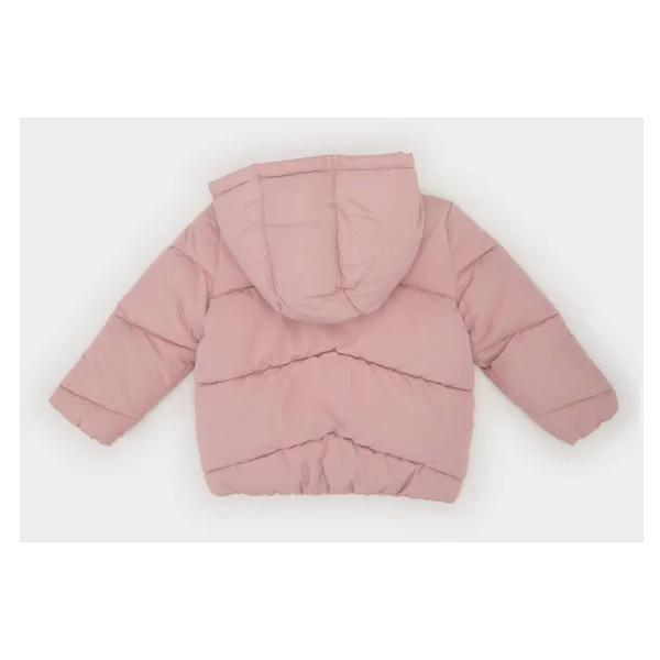 Defacto E7360a525au-Er37 Pembe Kapüşonlu Kız Bebek Şişme Mont - Görsel 3