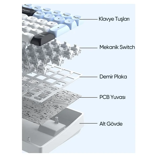 Aula S100 Pro Brown Switch Kablolu/Kablosuz Mekanik Oyuncu Klavyesi - Görsel 4