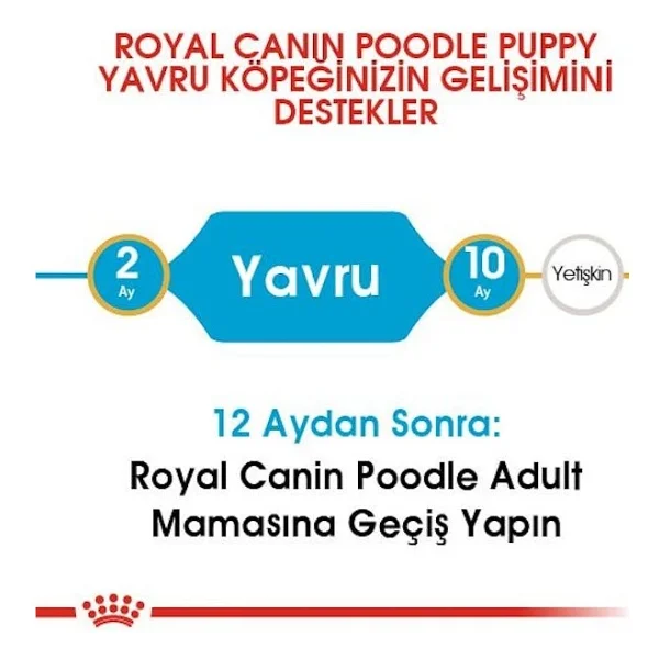 Royal Canin Poodle 3 Kg Yavru Köpek Maması - Görsel 6