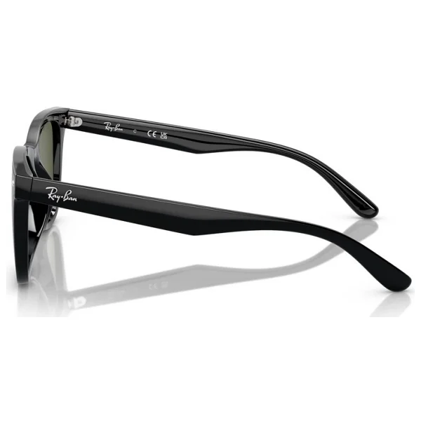 Ray-Ban 4420 Güneş Gözlüğü - Görsel 8