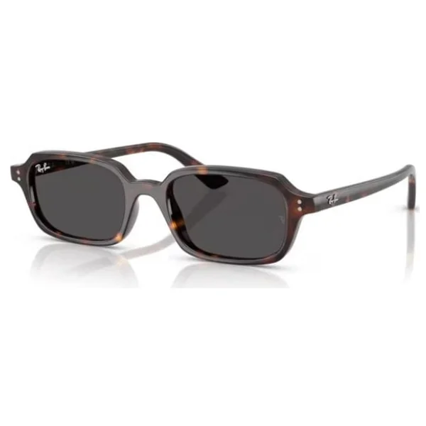 Ray-Ban Zuri 4455 135987 Havana-Dark Grey Güneş Gözlüğü - Görsel 2